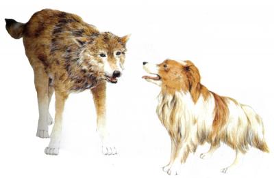 El perro y el lobo